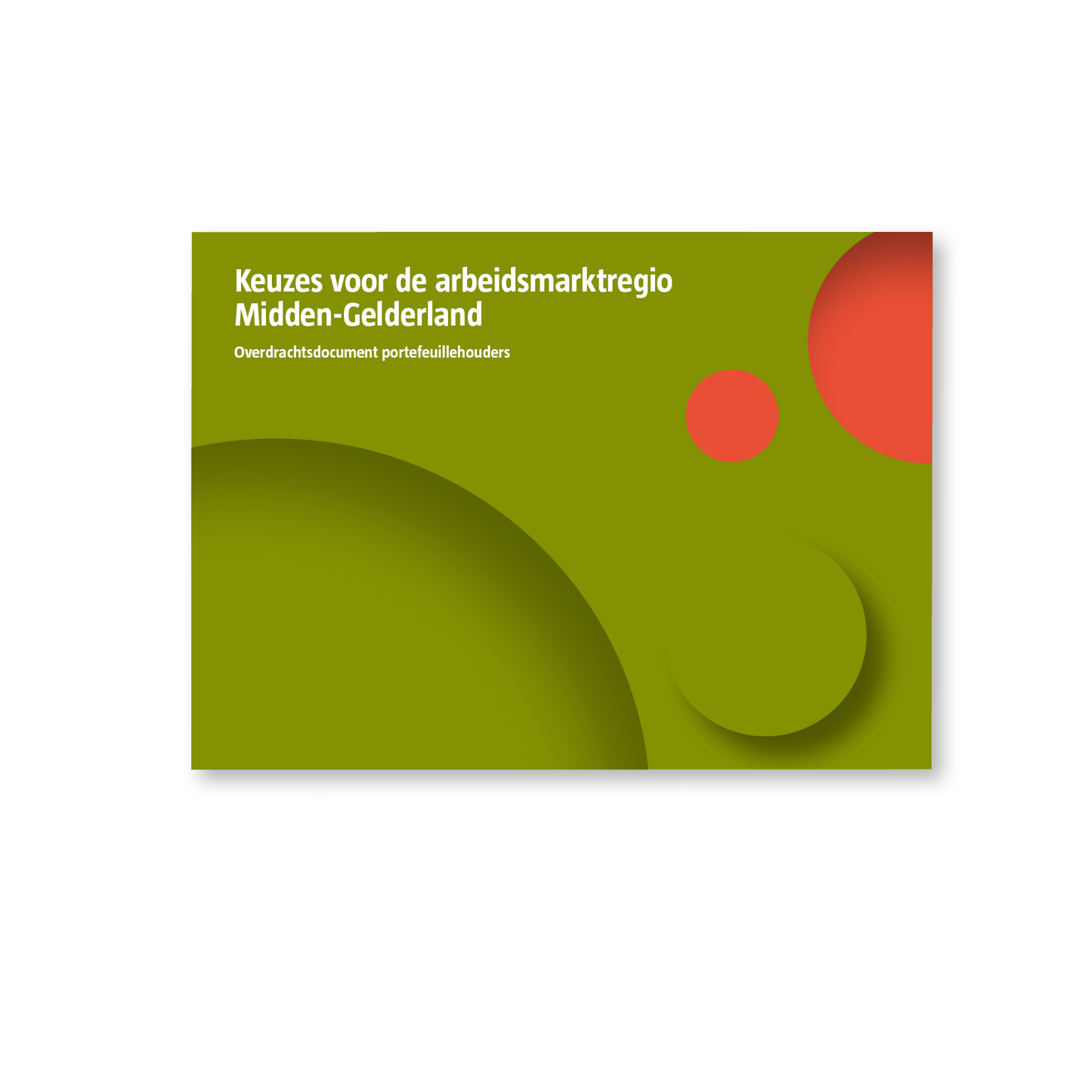 Keuzes voor de arbeidsmarktregio Midden-Gelderland