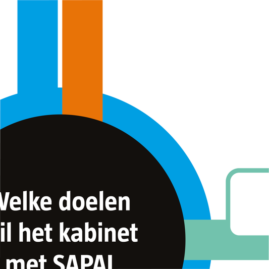 Doelenkaart SAPAI